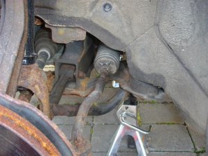 car 044 (Medium).jpg
